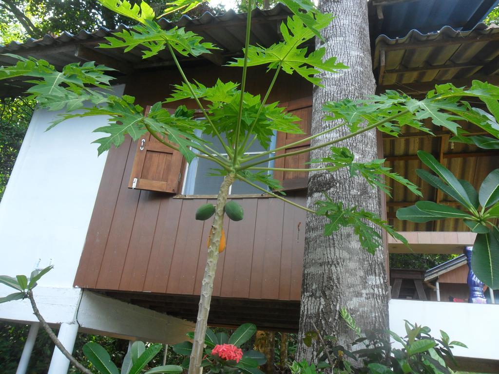 Elephant & Castle Bed and Breakfast Koh Chang Esterno foto